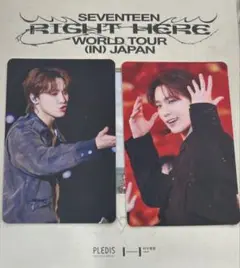 SEVENTEEN RIGHT HERE トレカ ディノ
