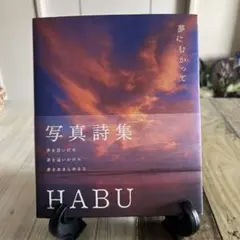 夢にむかって　　HABU