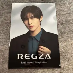 REGZA クリアファイル 目黒蓮