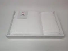 Item thumbnail for item 4d9d599c-2bdd-4a1a-88a8-e5e9115e8069