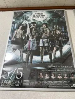 RIZIN landmark 3 ポスター
