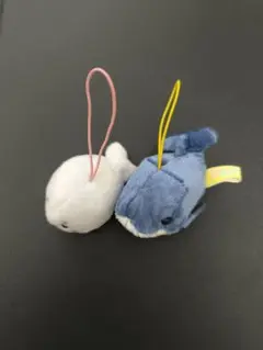 ぷちまる　★　マスコット　ぬいぐるみ　アザラシ　クジラ