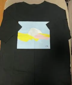 THE NORTH FACE アートプリント Tシャツ L