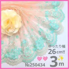 №250434　チュールレース