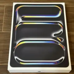 iPad Pro (M4) 256GB Wi-Fi セルラーモデル13インチ