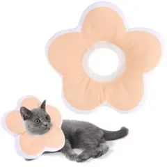 Item thumbnail for item 26a563d9-9f4e-4ca6-9c05-75058db08e47