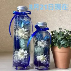 お値下げ　ハーバリウム　ブルー×ホワイト　六角瓶