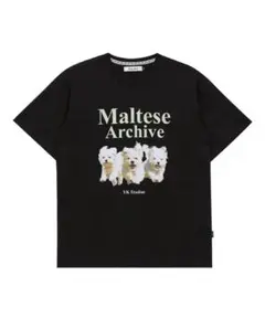 ALAND エーランド Wai Kei Tシャツ