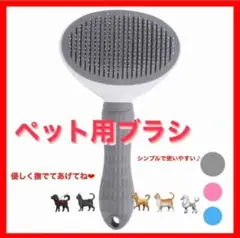 Item thumbnail for item dff8292f-8ea7-4174-873d-dfe2f1ff9bdb