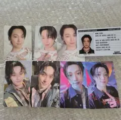 SEVENTEEN 封入 ディノ トレカ