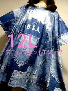 大きいサイズ12L