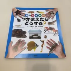 海の生きもの つかまえたらどうする？