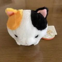 ひげまんじゅう　ツチネコ　ちんまりマンチカン　ぬいぐるみ ひげまんじゅう ツチネコ ちんまりマンチカン ぬいぐるみ 猫