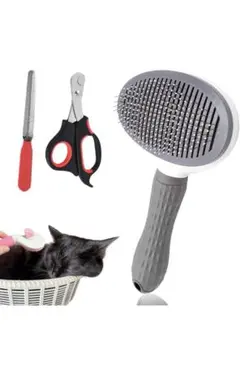 Item thumbnail for item 75e835ee-8abe-4e62-956f-0f571251a87d