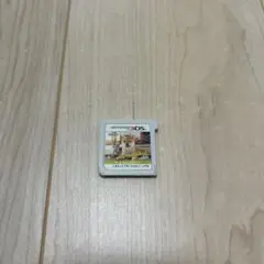 いぬのきもち ニンテンドー3DS ソフト