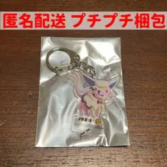 【コンプセット】ポケモン つながるアクリルキーホルダーコレクション 新品✨ポケモンセンタートウホク つながるアクリルキーホルダー
