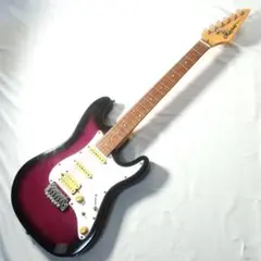 値下げ！即日発送！Rayfield RST series 新品弦　ケース付き 値下げ！即日発送！Rayfield RST series 新品弦 ケース付き