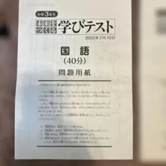 未来をつくる学びテスト2年分過去問プリント　仲間の記述例付 未来をつくる学びテスト2年分過去問プリント 仲間の記述例付