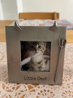 銀色の写真フレーム、可愛い猫の写真入り