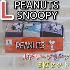 メンズ ボクサーブリーフ L 3枚 スヌーピー ピーナッツ ボクサーパンツ