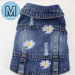 Item thumbnail for item 601f4583-0cf7-48cc-bf0e-5b93d8a1381b