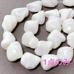 bi254/SALE！シェル◇つやつや　1連