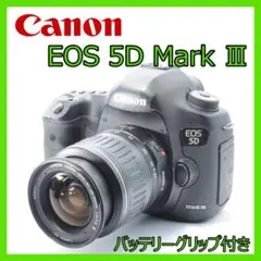 Item thumbnail for item 1b63a936-f941-4c2b-9bb2-eb6e6085ab1f