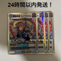 カメヲロォル