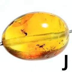 Item thumbnail for item 2dc4a35f-3209-4ca1-8c47-d872e48afc77