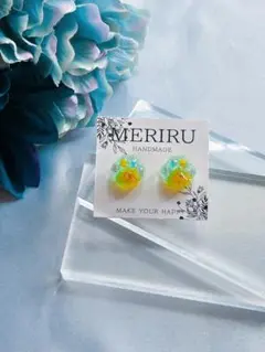 【匿名配送】本物のお花が入った ピアス　イヤリング