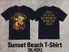 Item thumbnail for item c366180c-43d2-482c-945c-5394cb07ff04