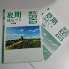 中3英語 夏期練成ゼミ 標準編 改訂版＋単元別テスト 育伸社 未使用 送料無料！