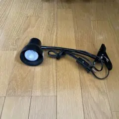 ライト