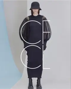 Item thumbnail for item 28c7ae57-7974-4079-bc11-8d62ff97195c