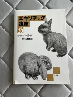 エキゾチック臨床 Vol.17 ハリネズミとフクロモモンガ エキゾチック臨床シリーズ Vol.17 ハリネズミとフクロモモンガの