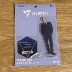 SEVENTEEN セブチ ウォヌ SEGA アクリルスタンド
