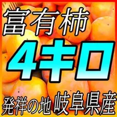 お手頃な価格で!『ご家庭用富有柿4キロ』岐阜県産地直送です!如何ですか??