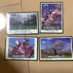 さくらカード　函館、長万部、森　4枚