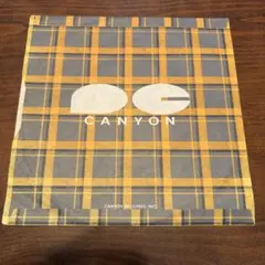 CANYON レコード 7A0311 ギギギギートの宇宙