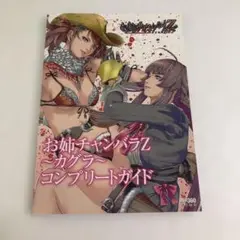 Xbox360攻略本 お姉チャンバラZ カグラ コンプリートガイド　ハガキ付き