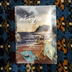 Amijed 　ST.MARYメダイ　イヤリング