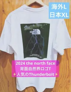 入手困難2024 ザノースフェイス自然界ロゴ人気のイナズマTシャツ海外L日本XL