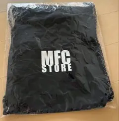 Item thumbnail for item 4bc73447-6c2a-4b5c-bbe4-e22aad0b39dd