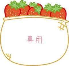 ◾︎ 専用です ◾︎