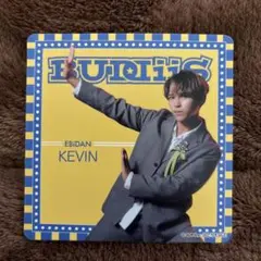 buddiis KEVIN コースター