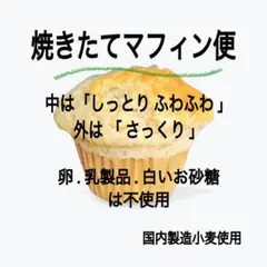 焼きたてマフィン焼き菓子詰め合わせ(プレーン.抹茶.ココア.クランベリー)