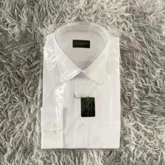 Item thumbnail for item ddd1ed99-af06-49ad-822a-995b518ec895