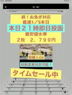 サンリオピューロランド 株主優待券 2枚