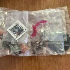 モンスターハンター　傀異克服シャガルマガラ　スタンダードモデル　CAPCOM