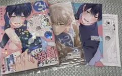 不機嫌イトコがかわい過ぎて仕方ない side直樹3 高比良りとアニメイト特典付き